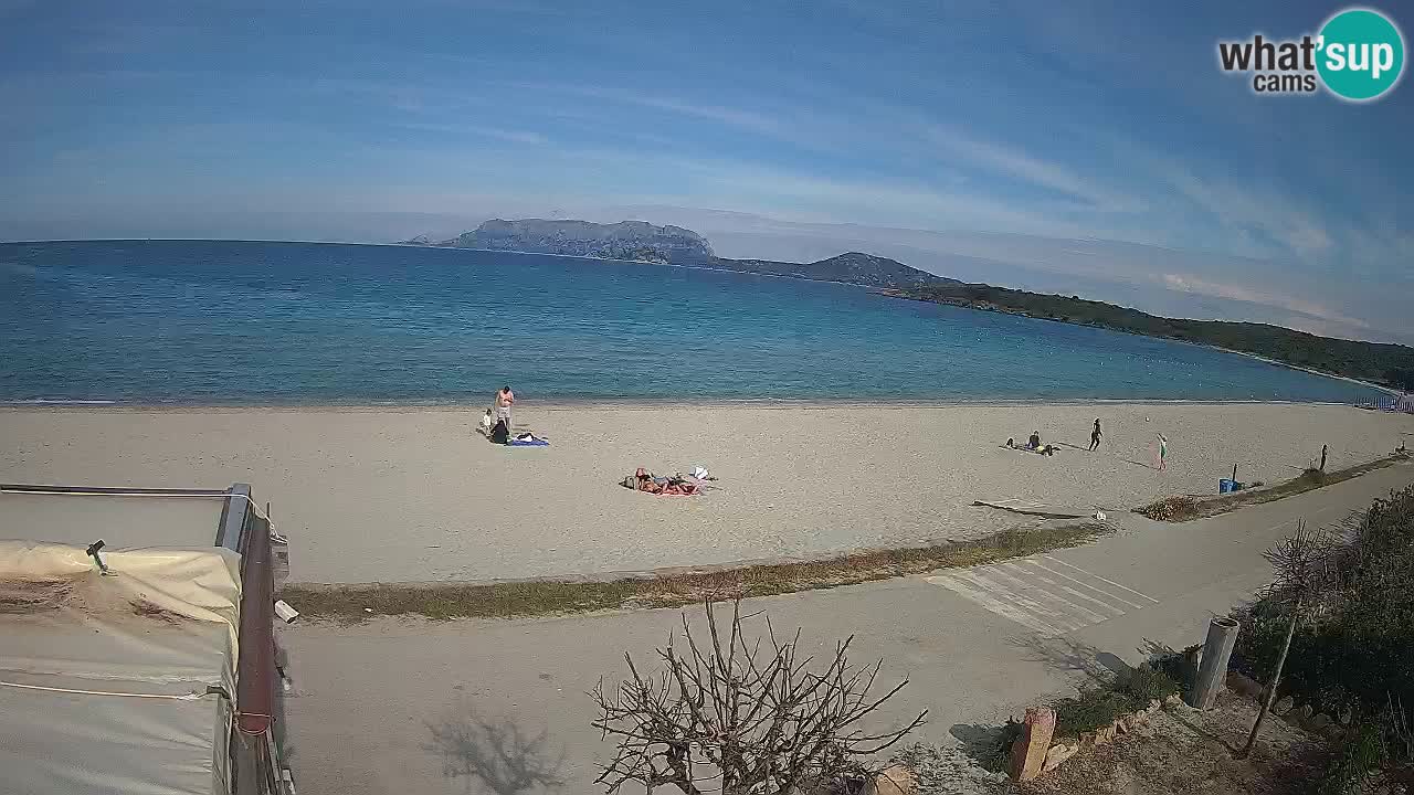 La webcam spiaggia Pittulongu vicino Olbia – Sardegna