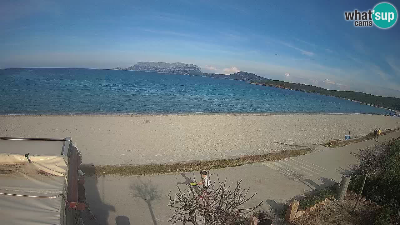 Plaža Pittulongu spletna kamera v živo Olbia – Sardinija – Italija