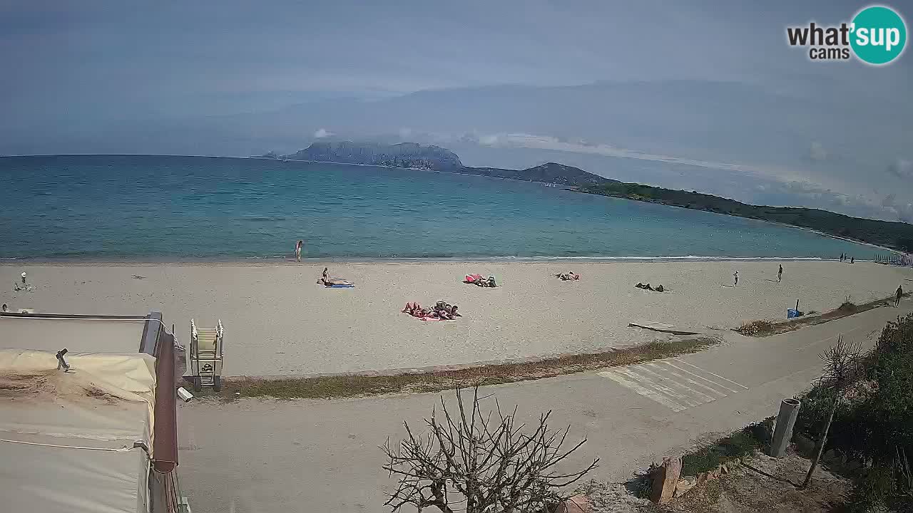 La webcam spiaggia Pittulongu vicino Olbia – Sardegna