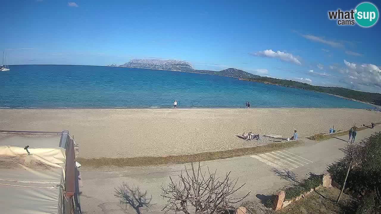 The beach of Pittulongu live webcam Olbia – Sardinia – Italy