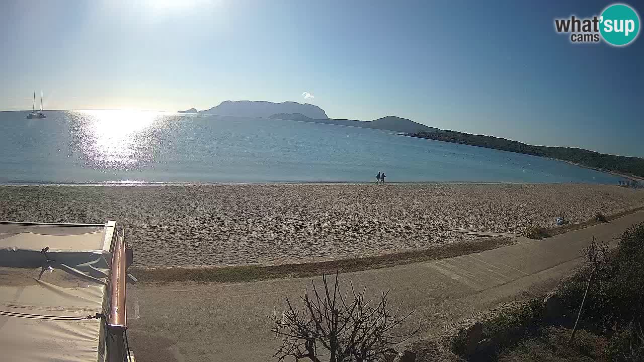 The beach of Pittulongu live webcam Olbia – Sardinia – Italy