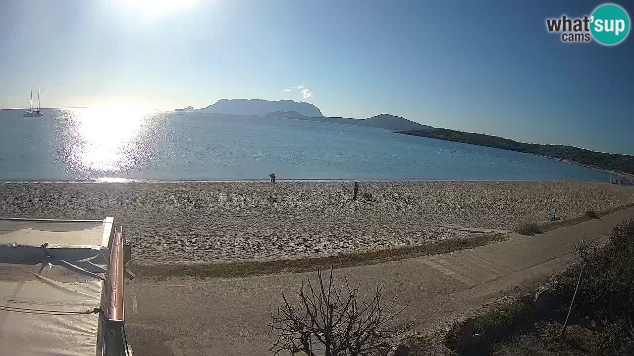Plaža Pittulongu spletna kamera v živo Olbia – Sardinija – Italija