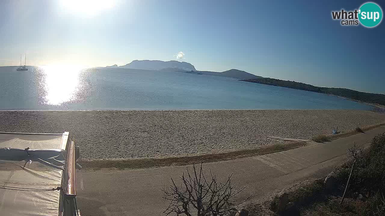 La plage de Pittulongu en direct webcam Olbia – Sardaigne – Italie