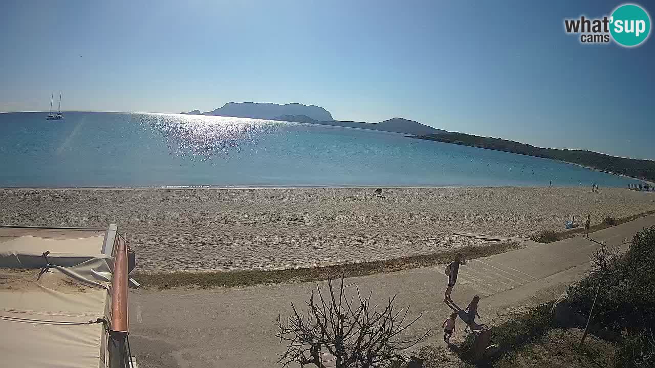 Plaža Pittulongu uživo web kamera Olbia – Sardinija – Italija