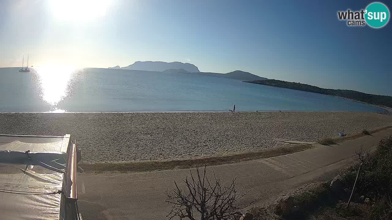La webcam spiaggia Pittulongu vicino Olbia – Sardegna