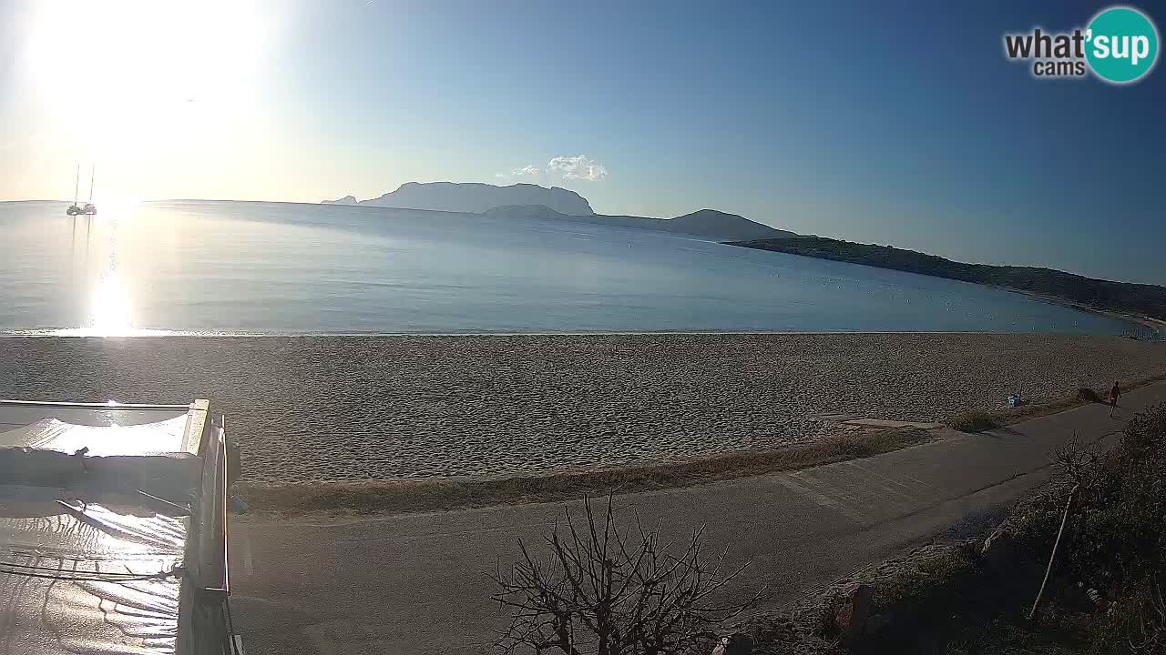 Plaža Pittulongu uživo web kamera Olbia – Sardinija – Italija