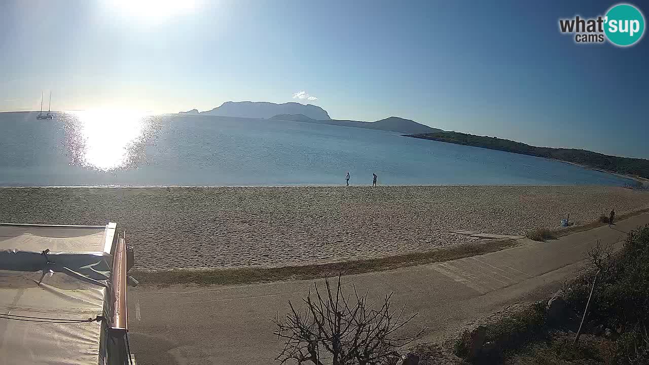 The beach of Pittulongu live webcam Olbia – Sardinia – Italy