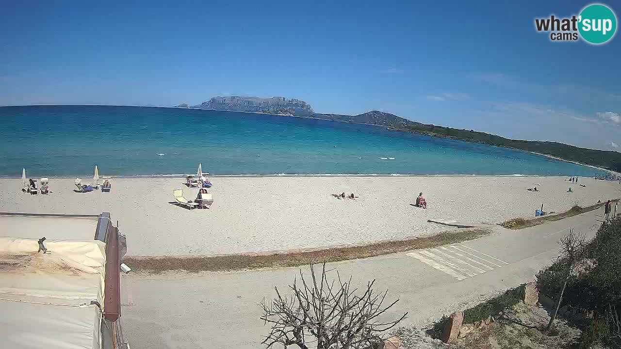 La playa de Pittulongu webcam en vivo Olbia – Cerdeña – Italia
