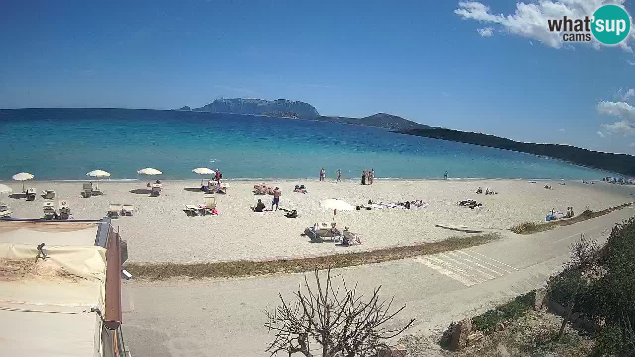 La playa de Pittulongu webcam en vivo Olbia – Cerdeña – Italia