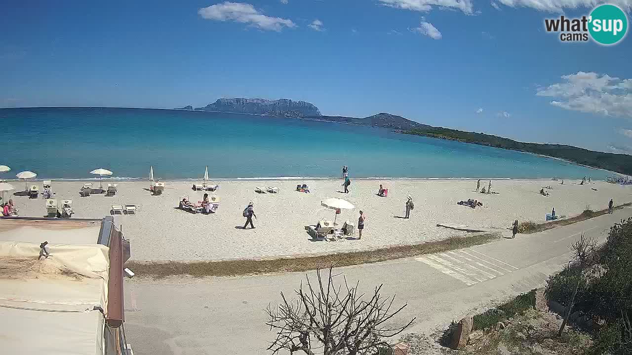 Plaža Pittulongu uživo web kamera Olbia – Sardinija – Italija