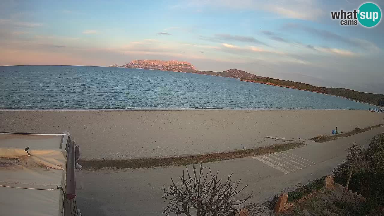 La plage de Pittulongu en direct webcam Olbia – Sardaigne – Italie