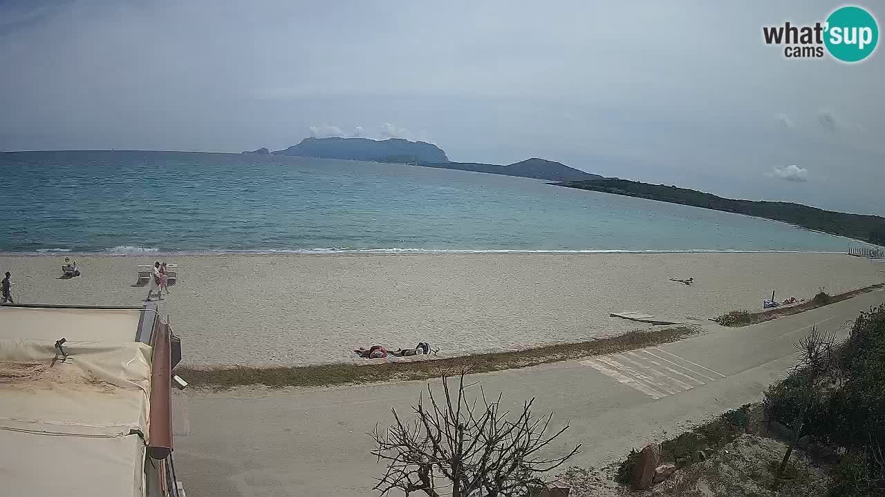 Der Strand von Pittulongu Live-Webcam Olbia – Sardinien – Italien