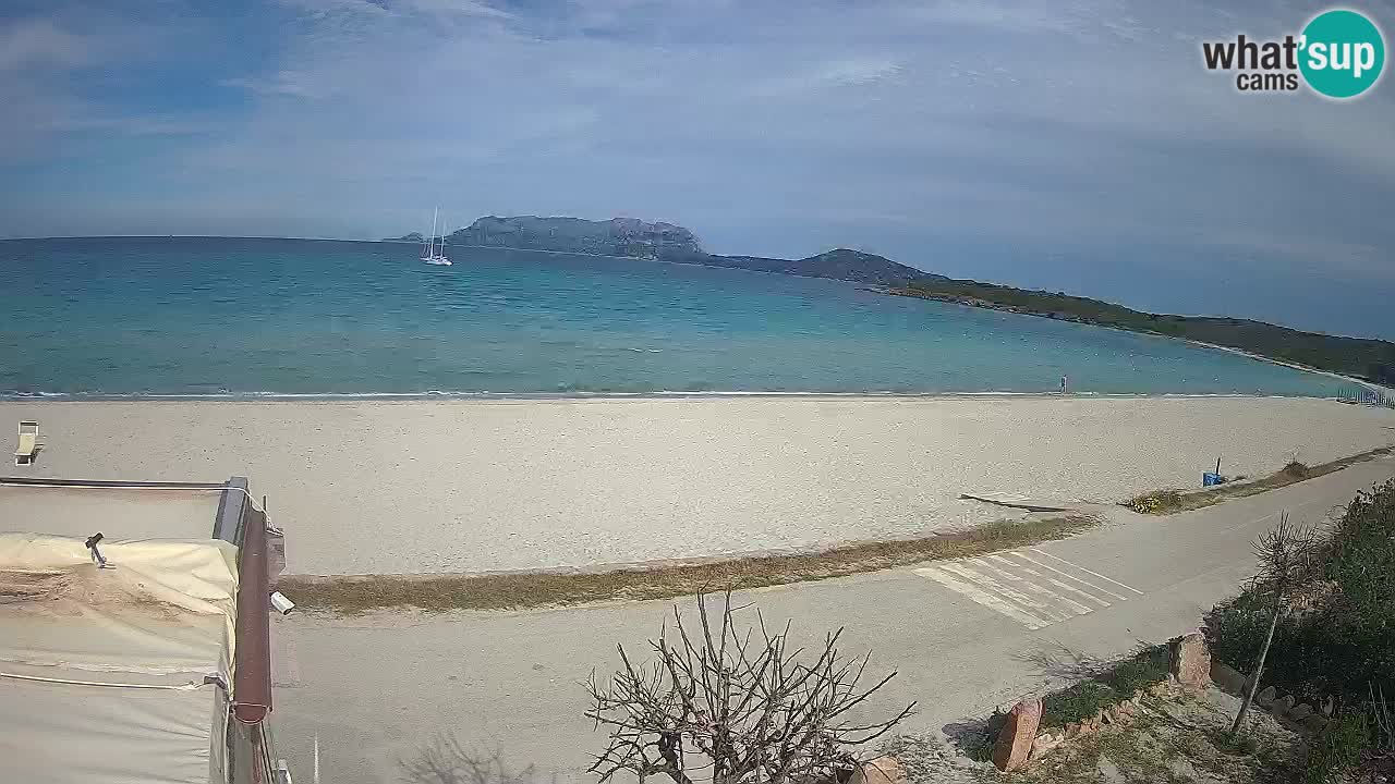 Plaža Pittulongu uživo web kamera Olbia – Sardinija – Italija