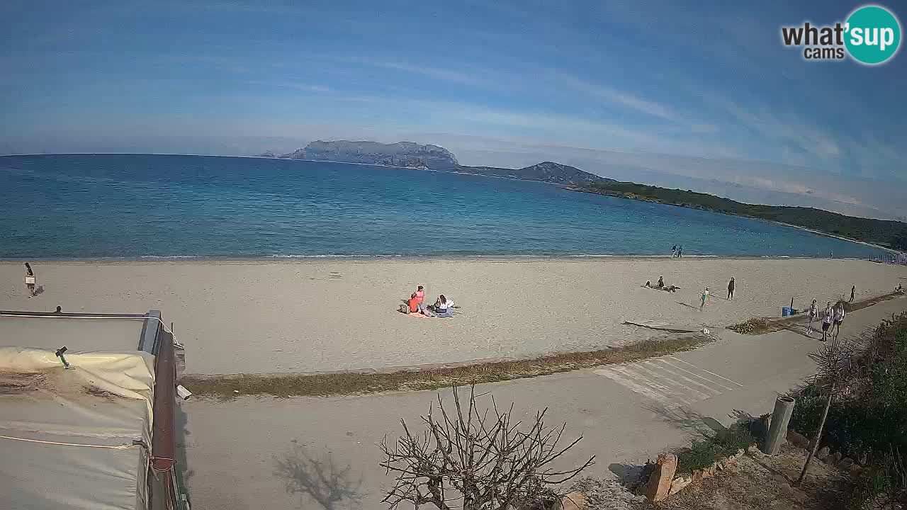 Plaža Pittulongu uživo web kamera Olbia – Sardinija – Italija