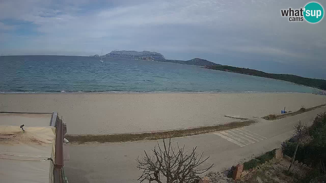 La webcam spiaggia Pittulongu vicino Olbia – Sardegna