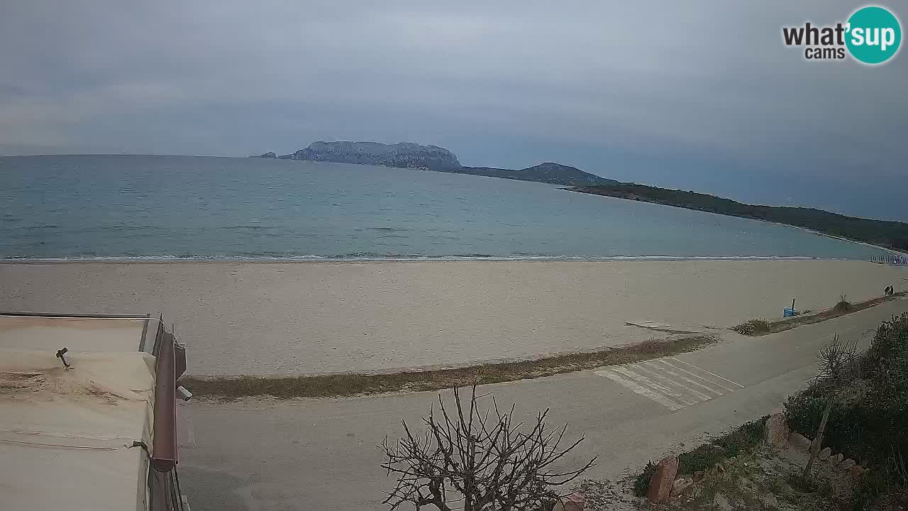 La playa de Pittulongu webcam en vivo Olbia – Cerdeña – Italia