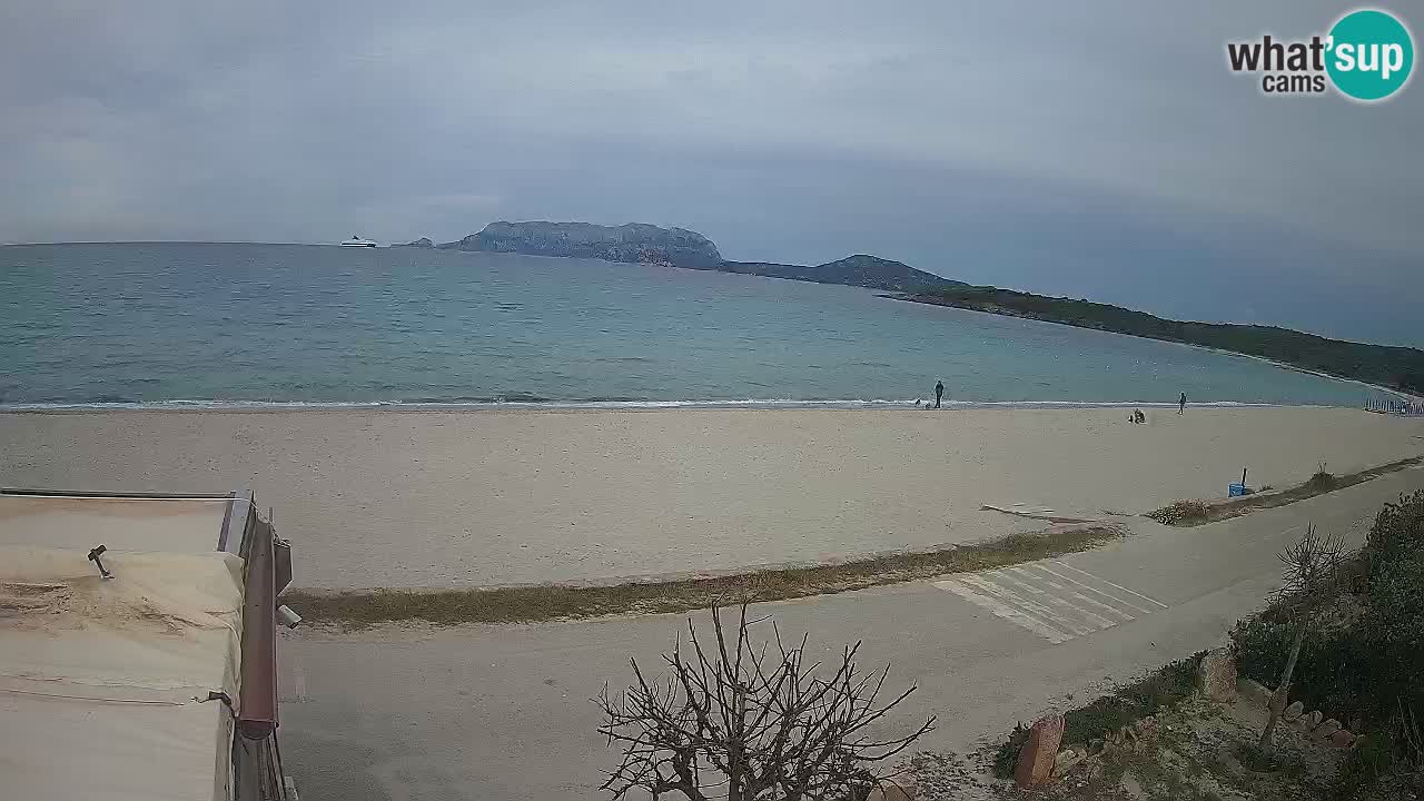 Plaža Pittulongu spletna kamera v živo Olbia – Sardinija – Italija