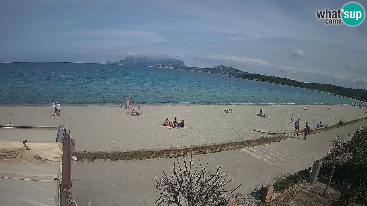 Der Strand von Pittulongu Live-Webcam Olbia – Sardinien – Italien