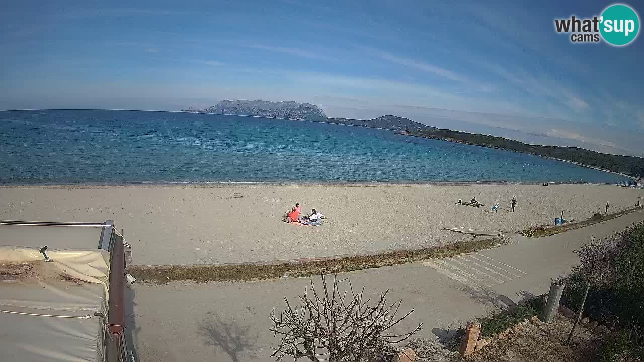 Der Strand von Pittulongu Live-Webcam Olbia – Sardinien – Italien