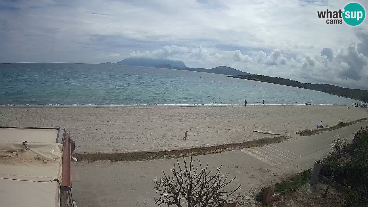 The beach of Pittulongu live webcam Olbia – Sardinia – Italy
