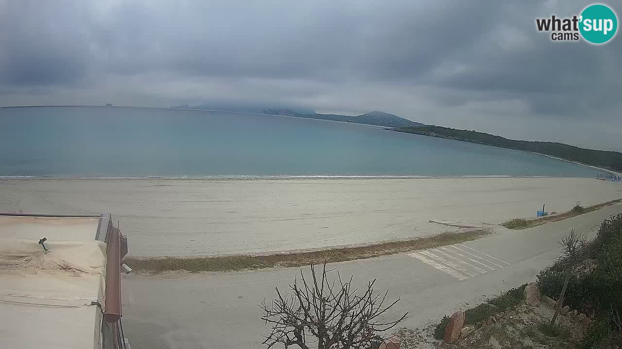 Der Strand von Pittulongu Live-Webcam Olbia – Sardinien – Italien