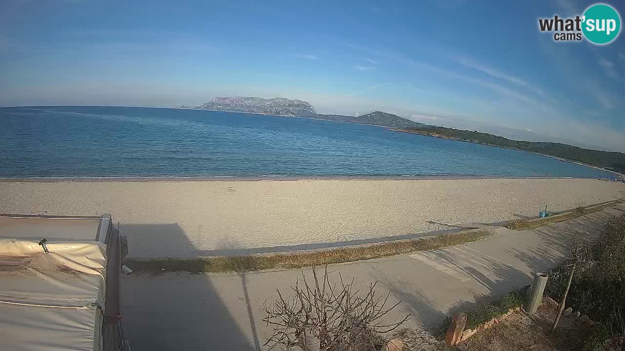 Plaža Pittulongu uživo web kamera Olbia – Sardinija – Italija