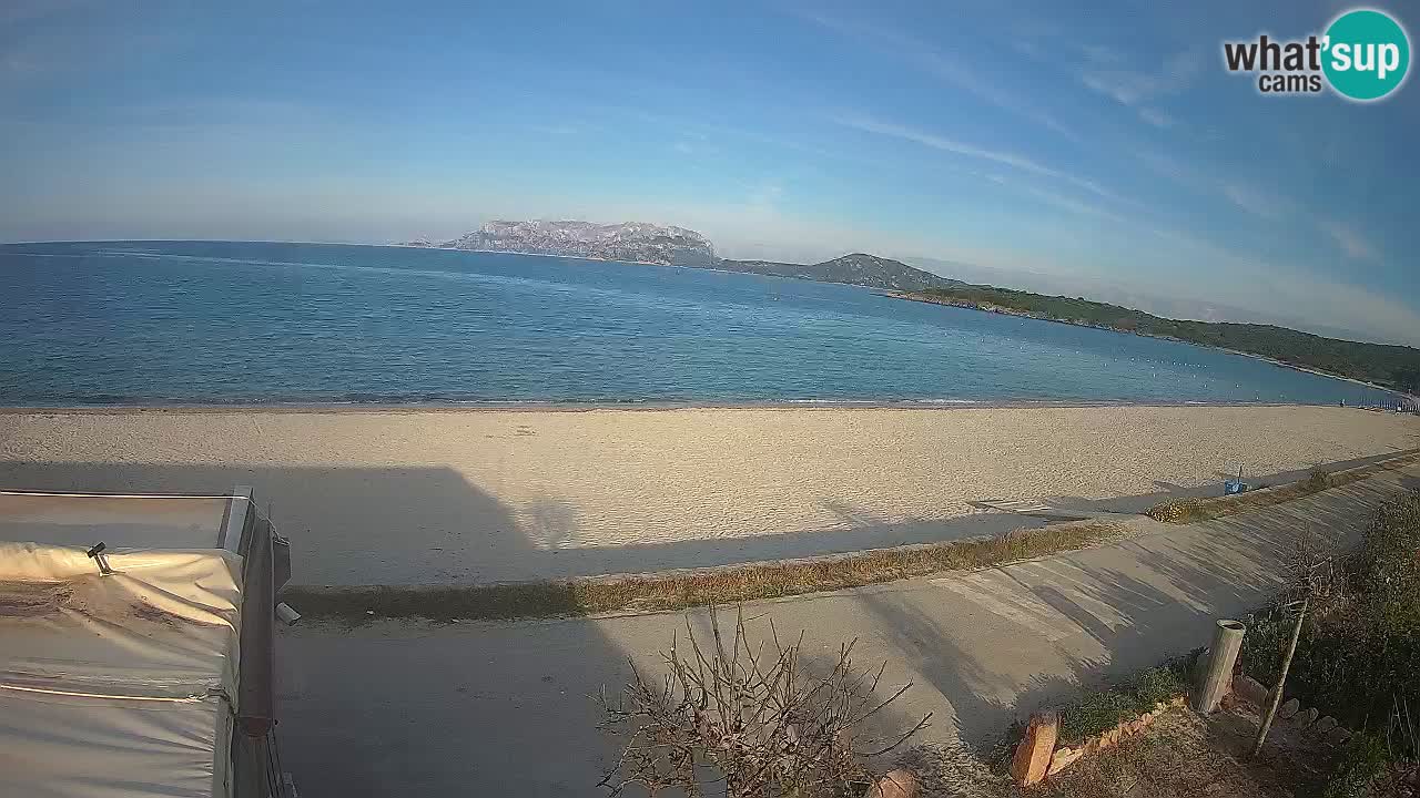 The beach of Pittulongu live webcam Olbia – Sardinia – Italy