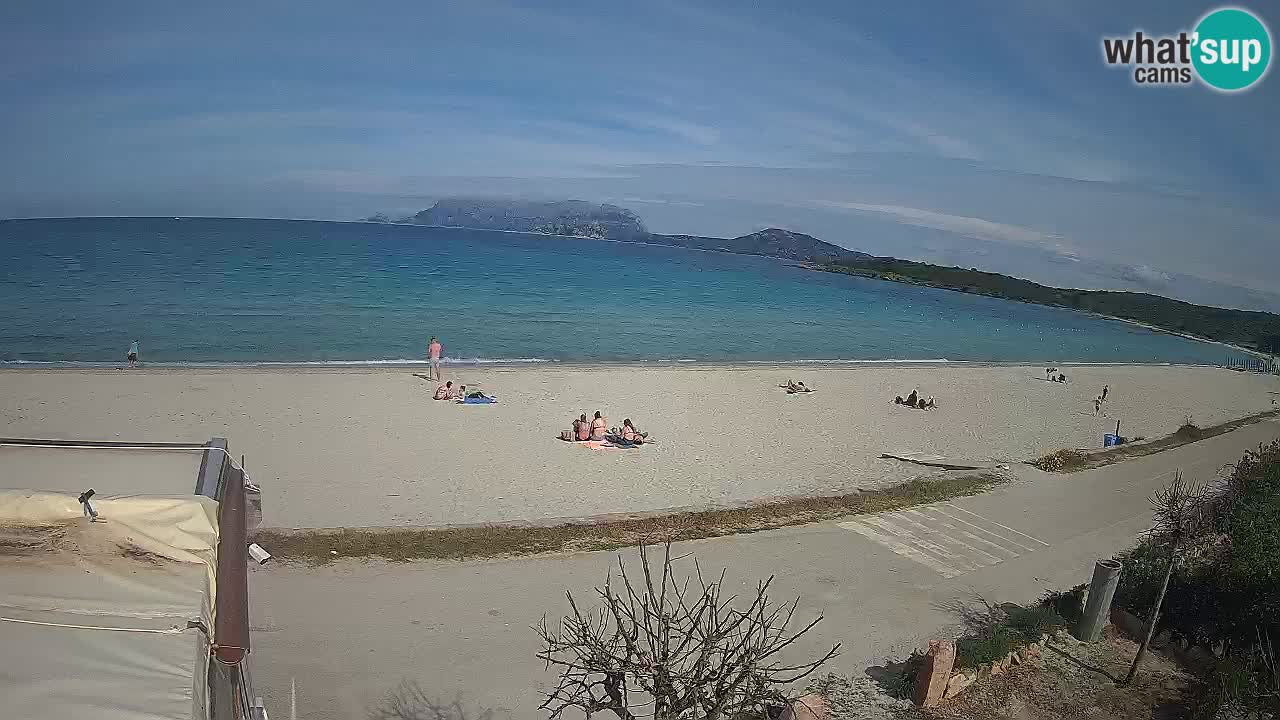 The beach of Pittulongu live webcam Olbia – Sardinia – Italy