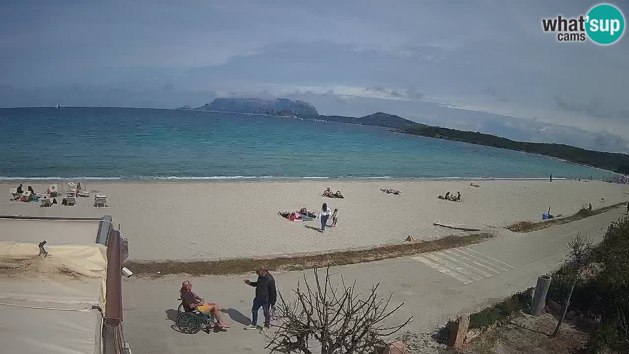 La playa de Pittulongu webcam en vivo Olbia – Cerdeña – Italia