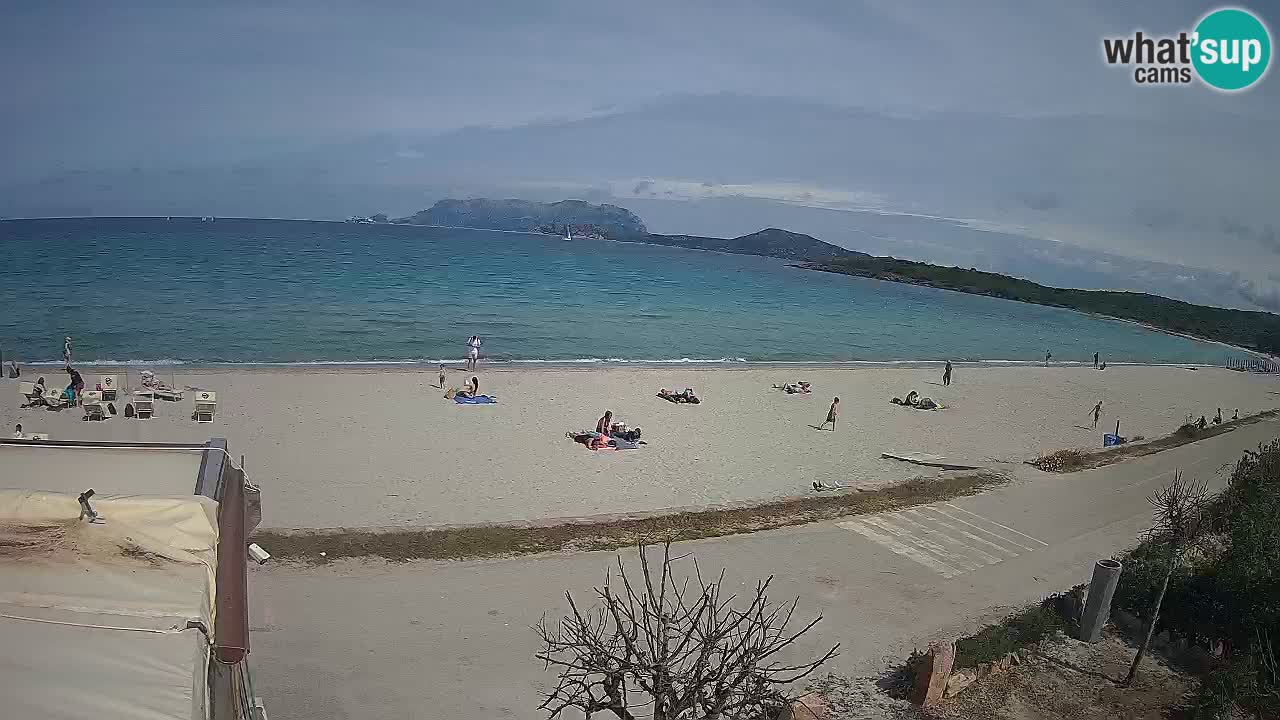 The beach of Pittulongu live webcam Olbia – Sardinia – Italy