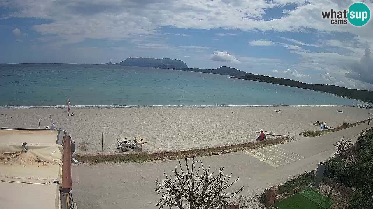 Der Strand von Pittulongu Live-Webcam Olbia – Sardinien – Italien