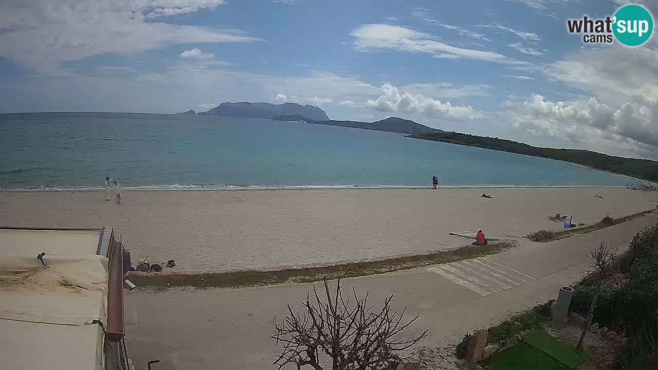 Plaža Pittulongu spletna kamera v živo Olbia – Sardinija – Italija