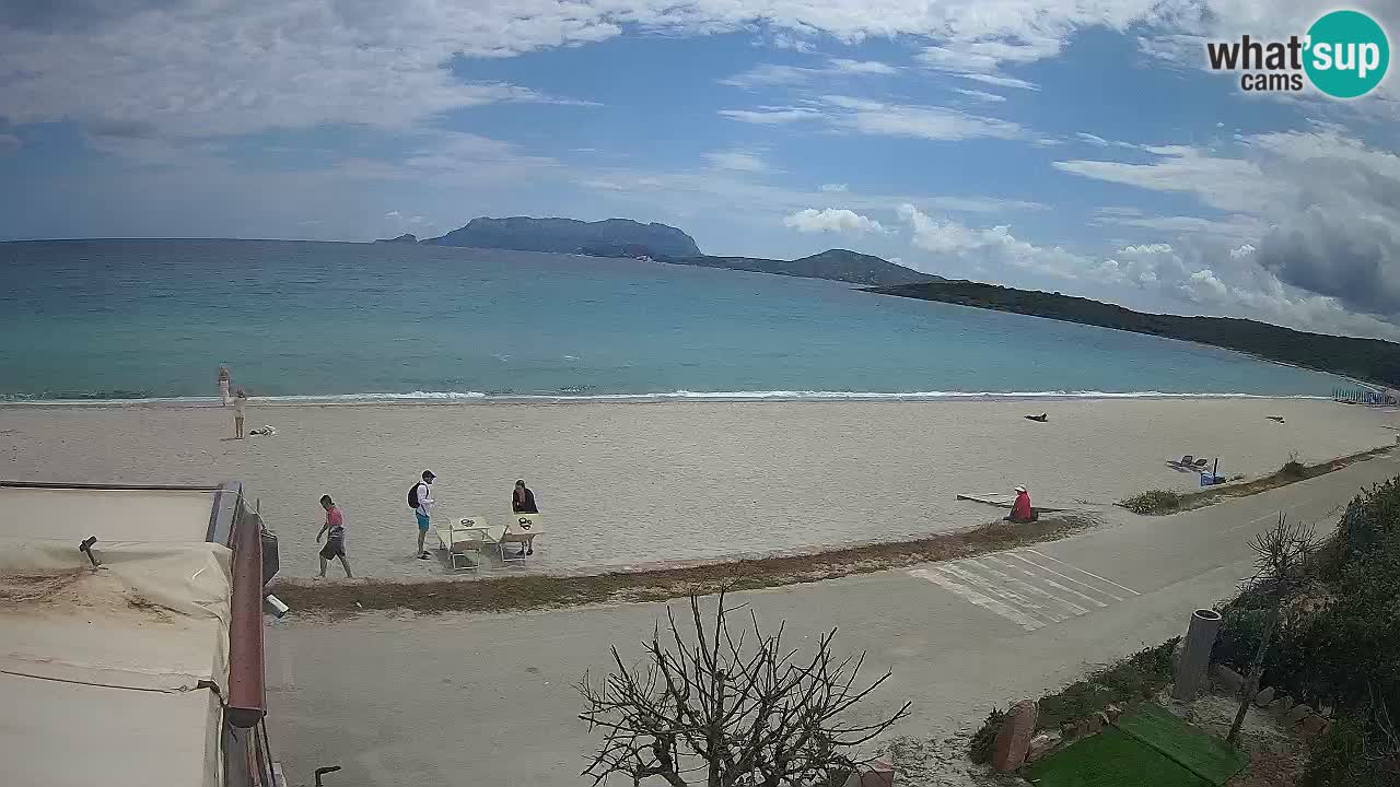 Plaža Pittulongu uživo web kamera Olbia – Sardinija – Italija