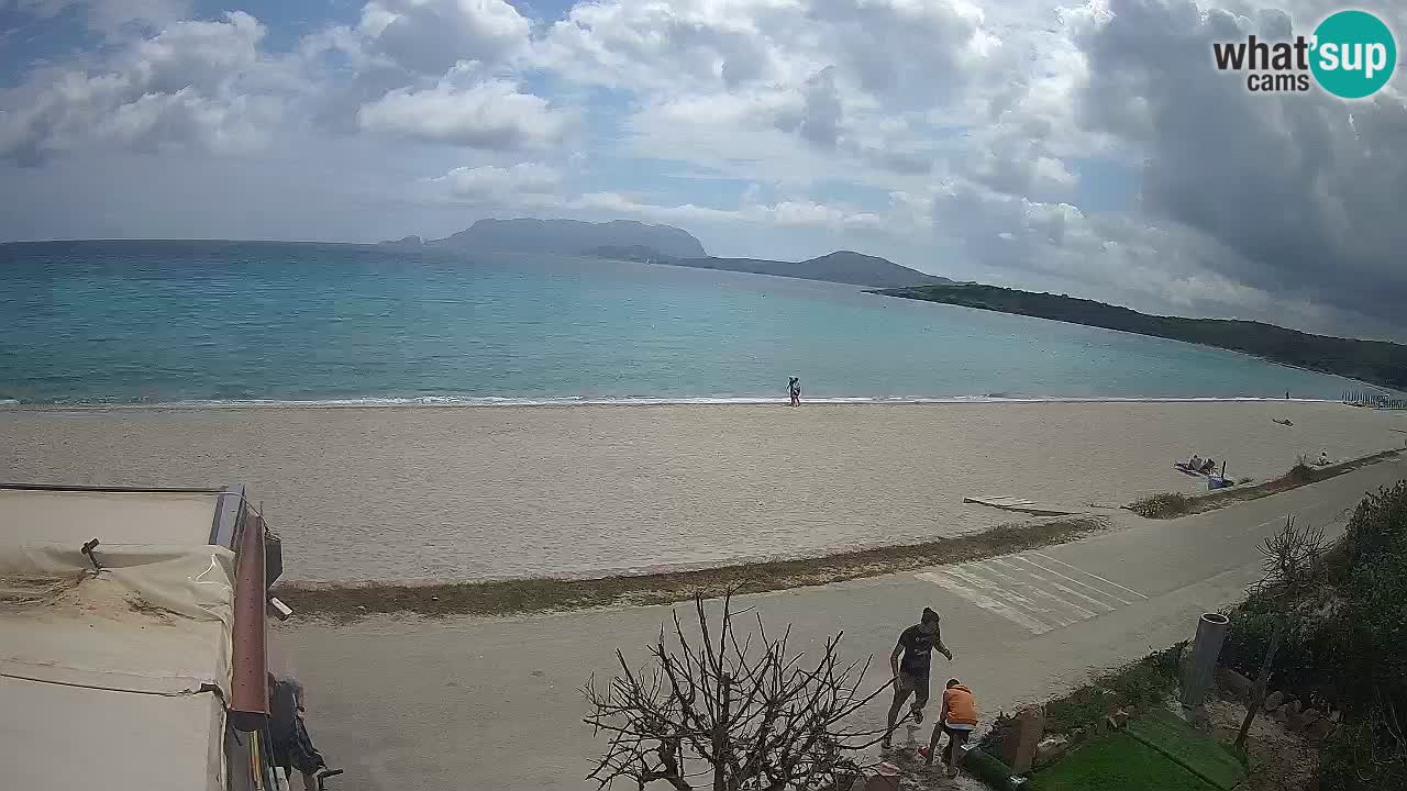 The beach of Pittulongu live webcam Olbia – Sardinia – Italy