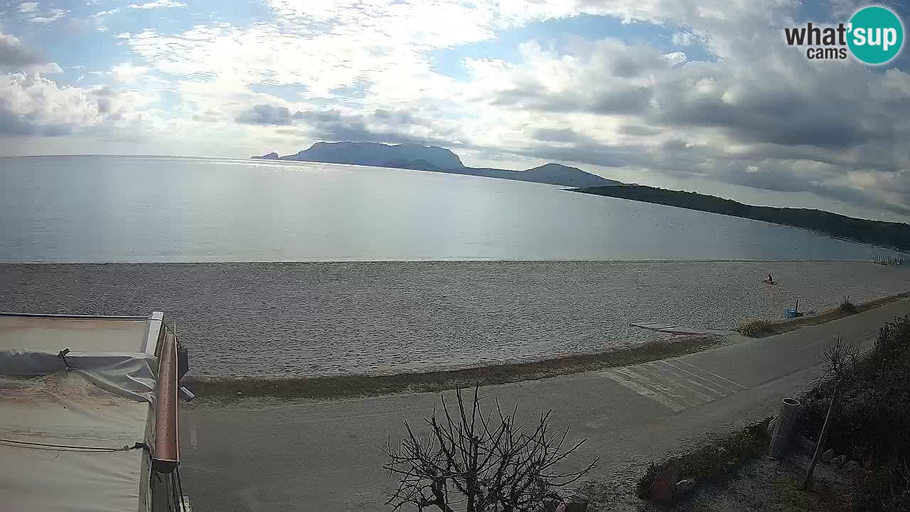 The beach of Pittulongu live webcam Olbia – Sardinia – Italy