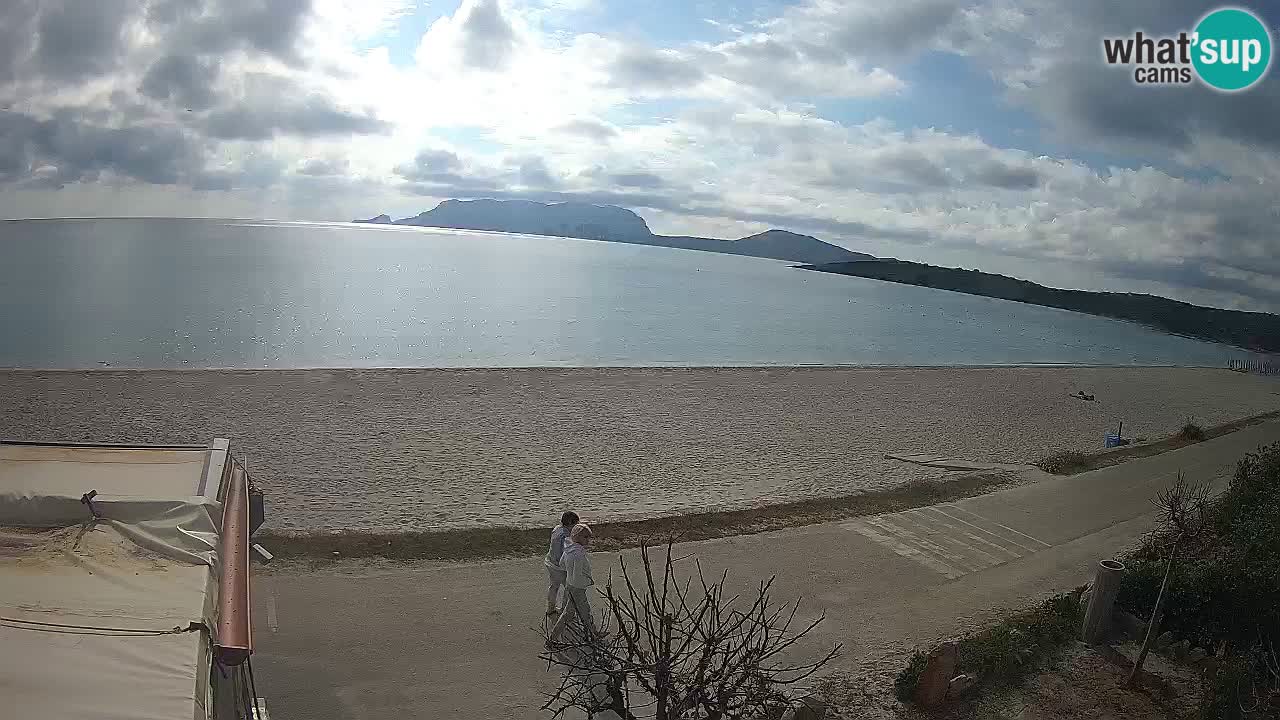 Plaža Pittulongu uživo web kamera Olbia – Sardinija – Italija