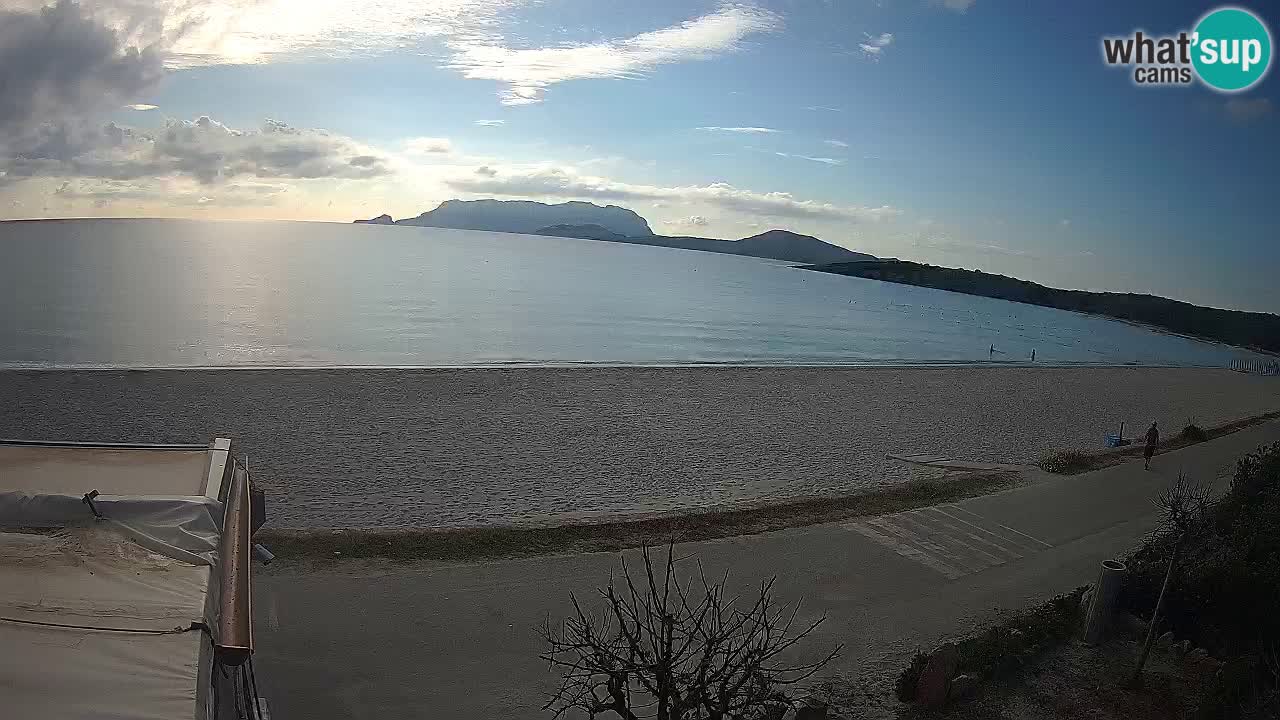 Der Strand von Pittulongu Live-Webcam Olbia – Sardinien – Italien