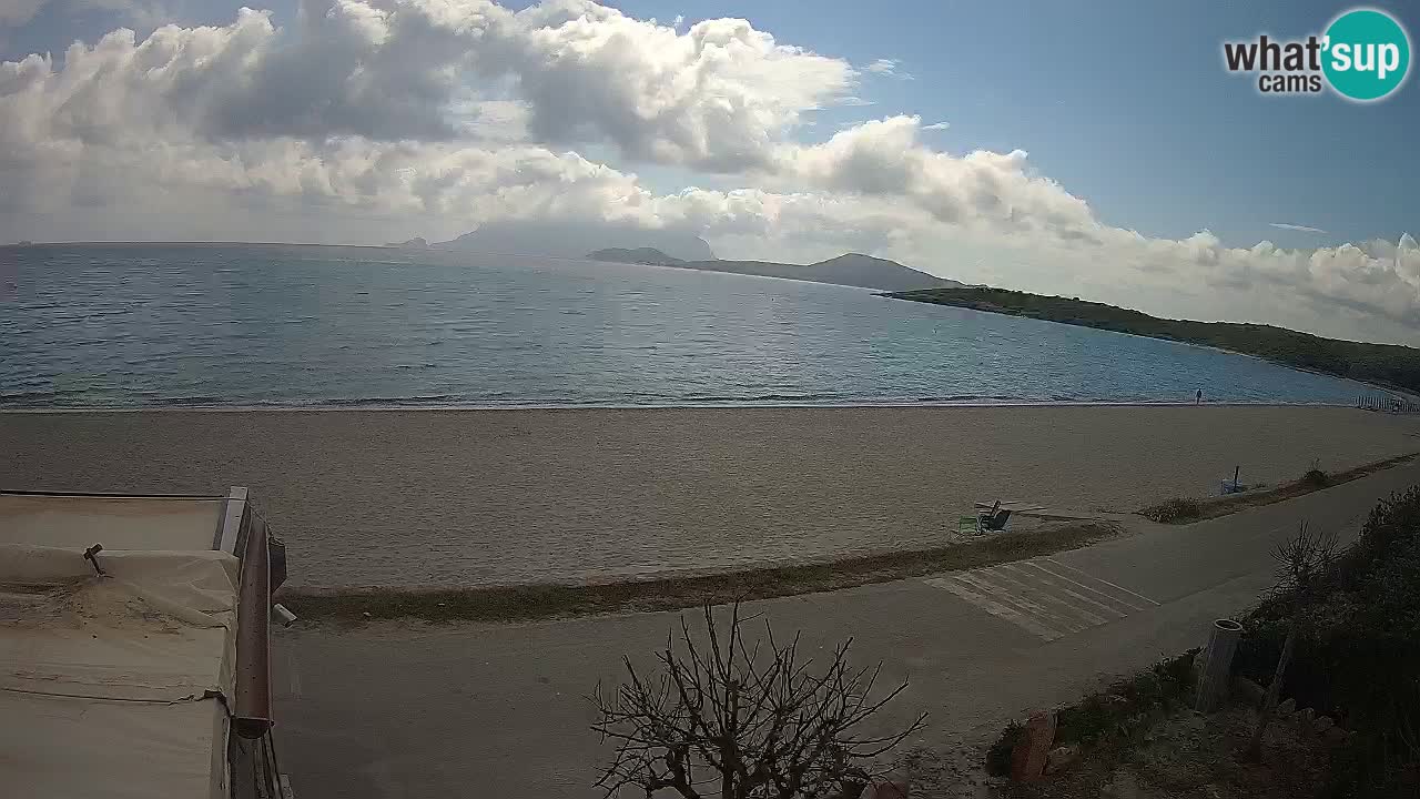 Plaža Pittulongu spletna kamera v živo Olbia – Sardinija – Italija