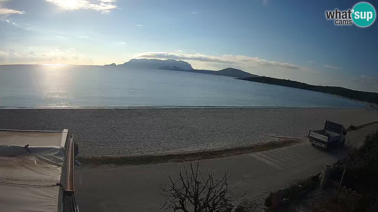 Plaža Pittulongu spletna kamera v živo Olbia – Sardinija – Italija