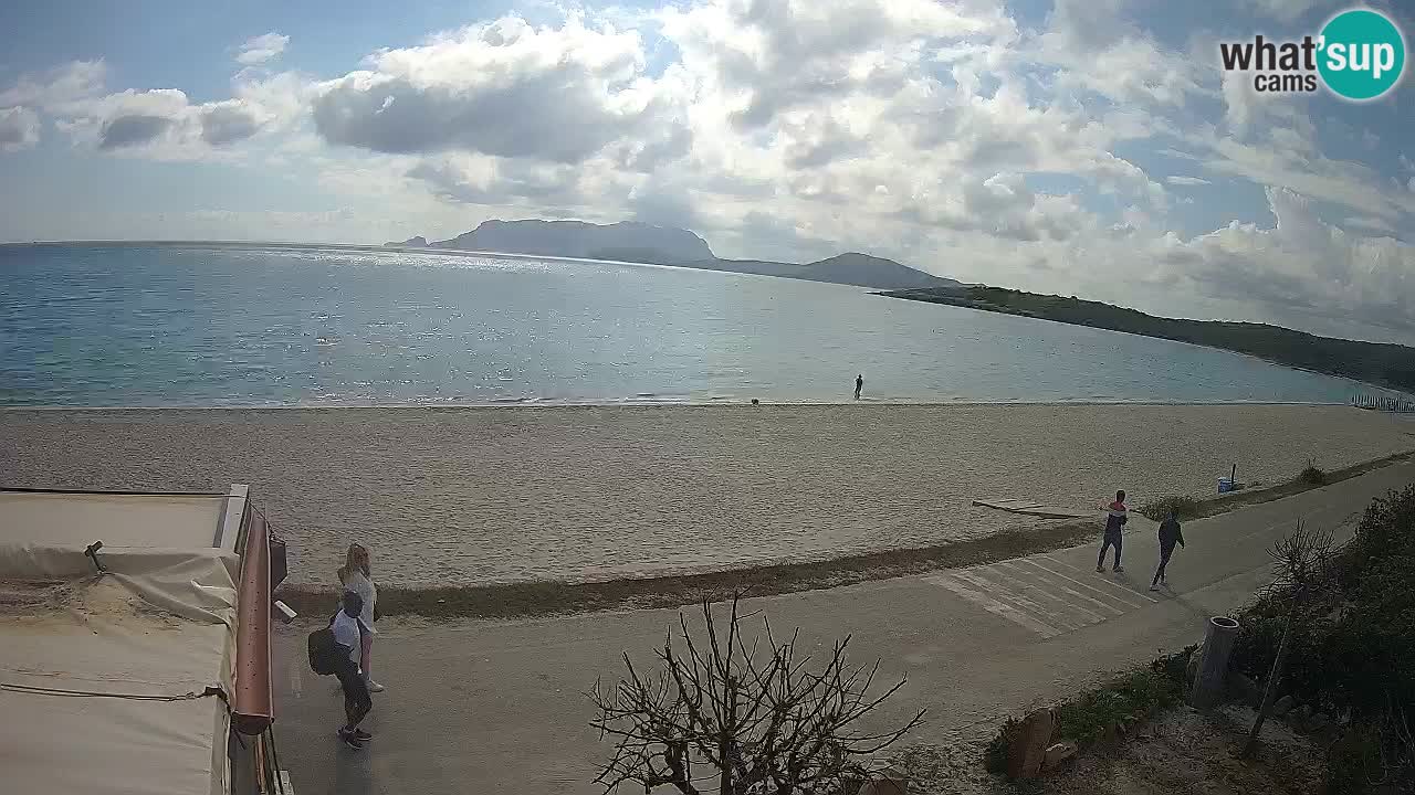 La webcam spiaggia Pittulongu vicino Olbia – Sardegna