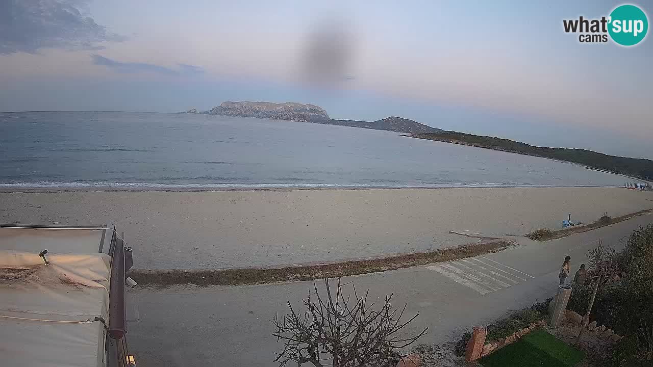 Plaža Pittulongu uživo web kamera Olbia – Sardinija – Italija