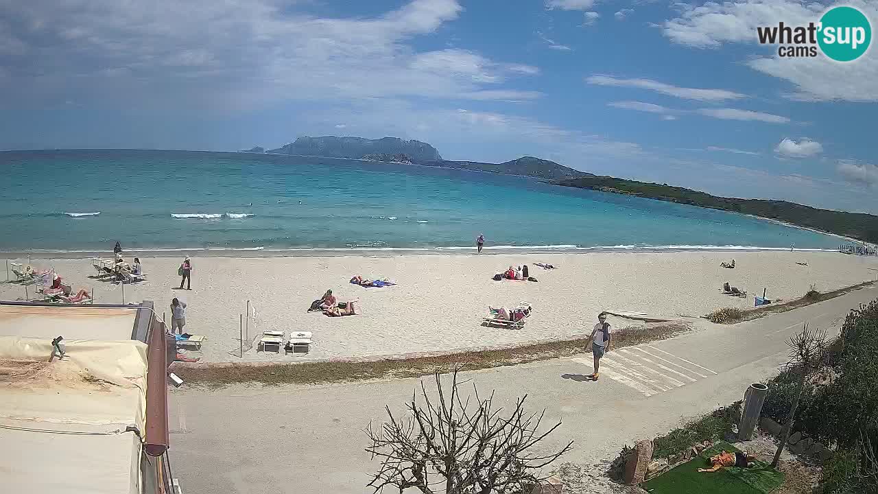 Plaža Pittulongu spletna kamera v živo Olbia – Sardinija – Italija