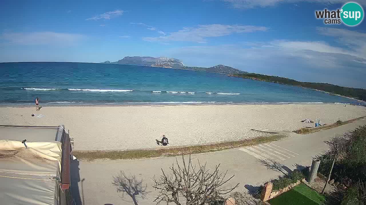 Plaža Pittulongu spletna kamera v živo Olbia – Sardinija – Italija
