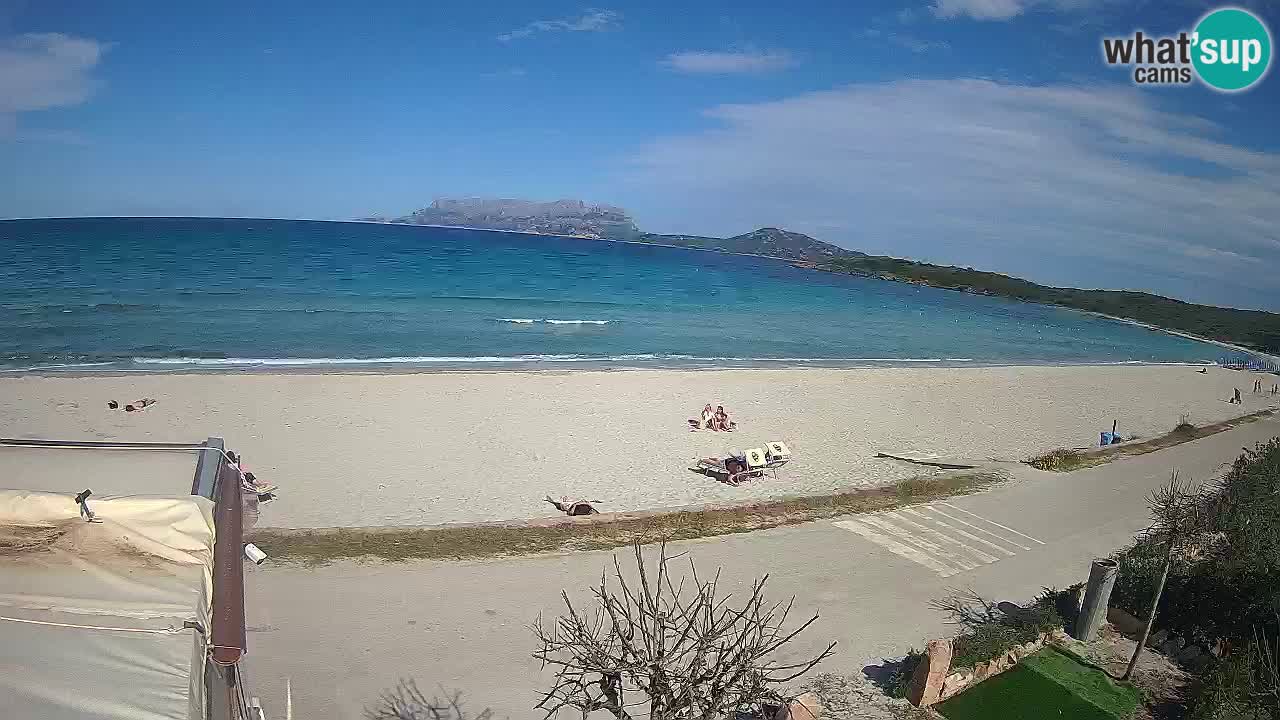La webcam spiaggia Pittulongu vicino Olbia – Sardegna