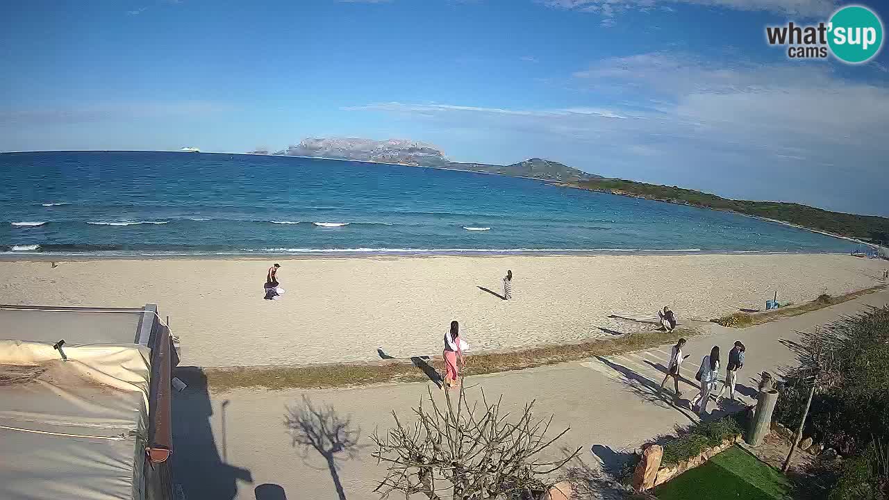 Plaža Pittulongu spletna kamera v živo Olbia – Sardinija – Italija