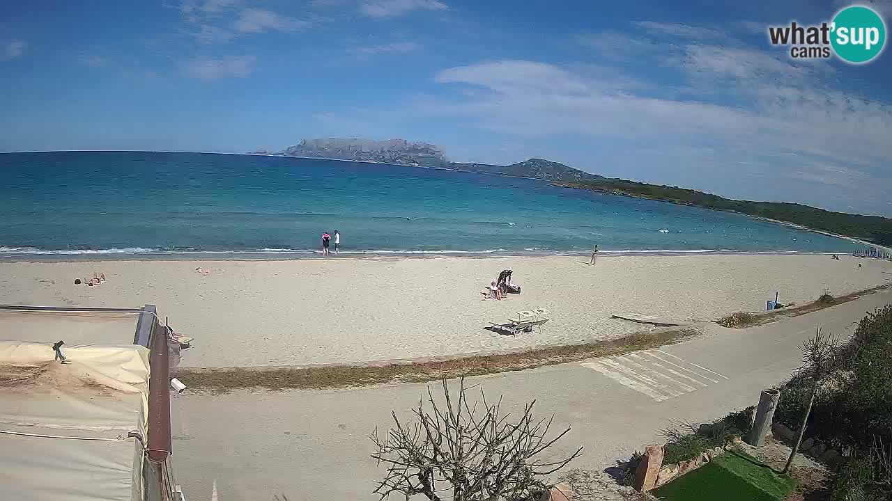 Plaža Pittulongu spletna kamera v živo Olbia – Sardinija – Italija