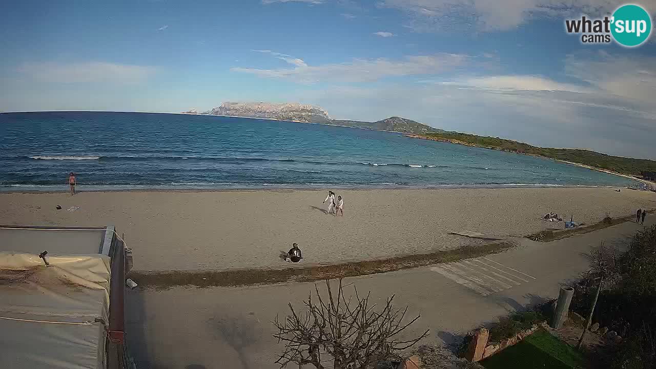Plaža Pittulongu spletna kamera v živo Olbia – Sardinija – Italija