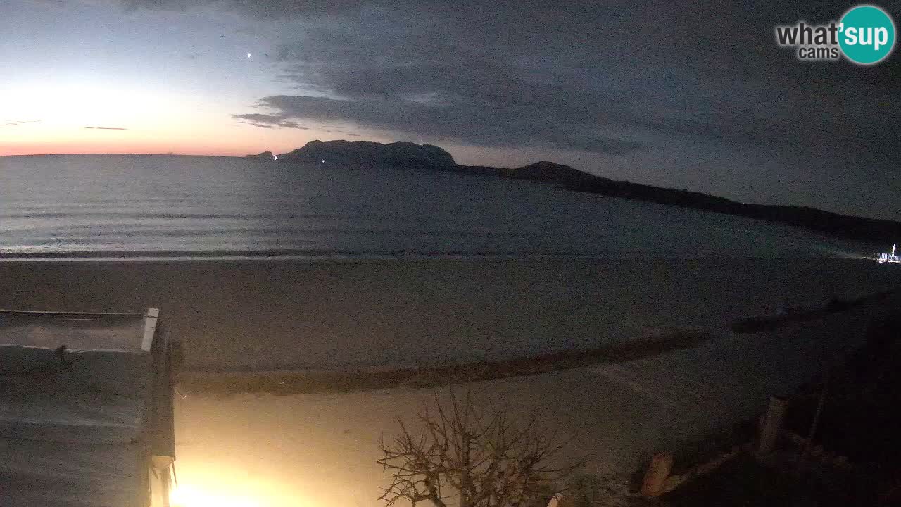 The beach of Pittulongu live webcam Olbia – Sardinia – Italy