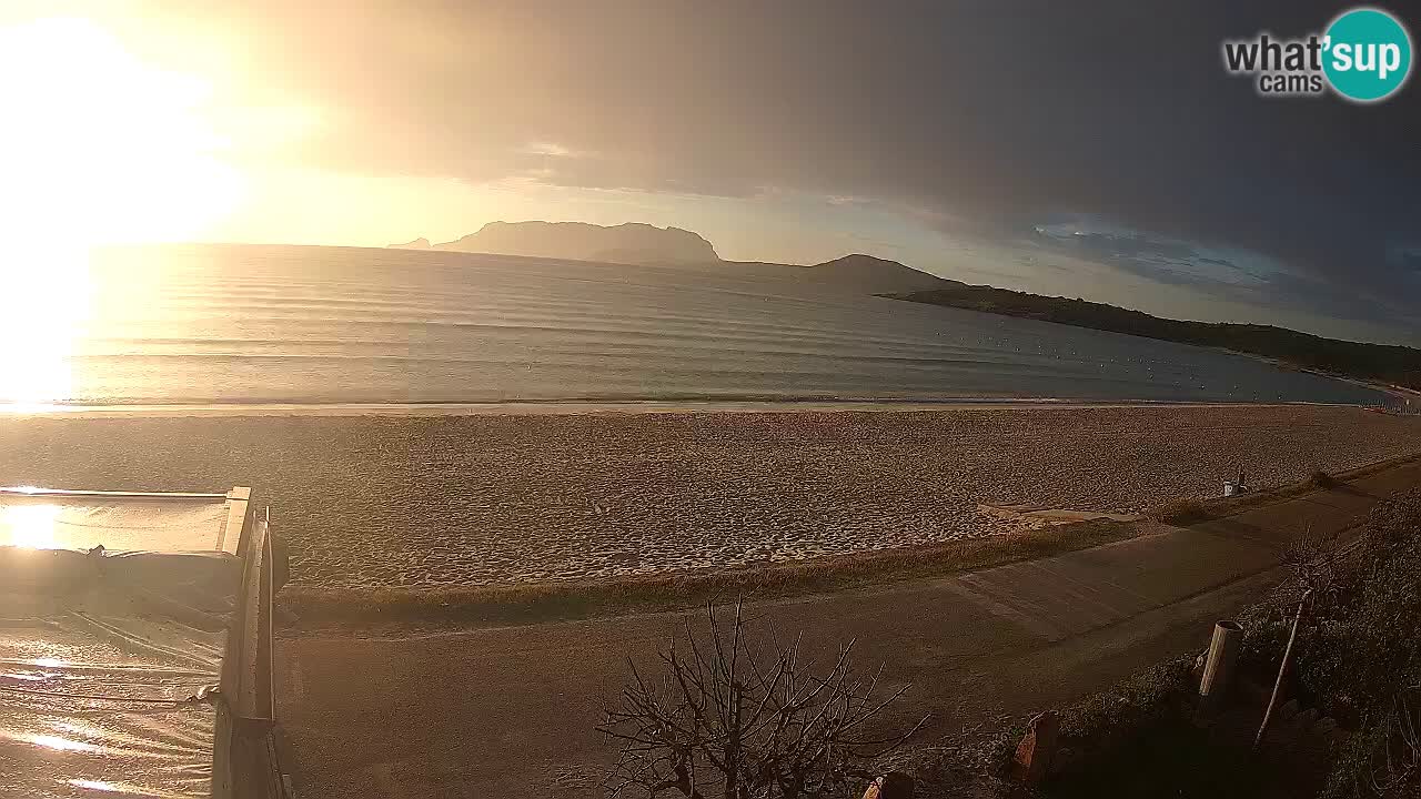 Der Strand von Pittulongu Live-Webcam Olbia – Sardinien – Italien
