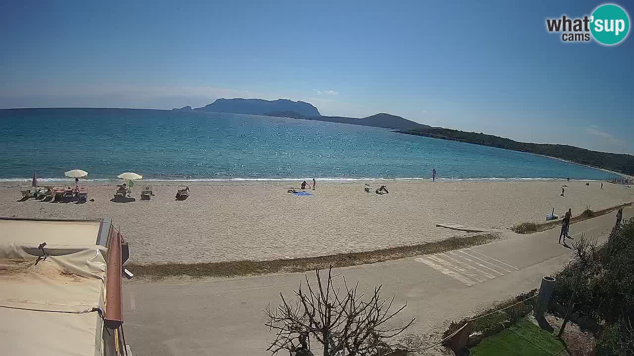 La plage de Pittulongu en direct webcam Olbia – Sardaigne – Italie